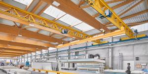 41919 2 Universal cranes_1